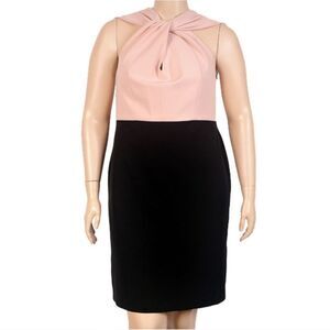 Mynt 1792 12W & 14W Blush and Black Dress